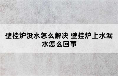 壁挂炉没水怎么解决 壁挂炉上水漏水怎么回事